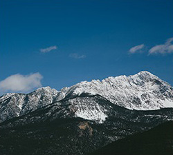 纯净版无广告的网站攻击工具手机版